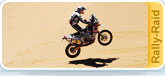 2011 Dakar 2011, raid Rally live